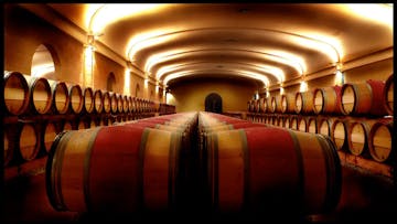 Cellar of Domaine de Chevalier